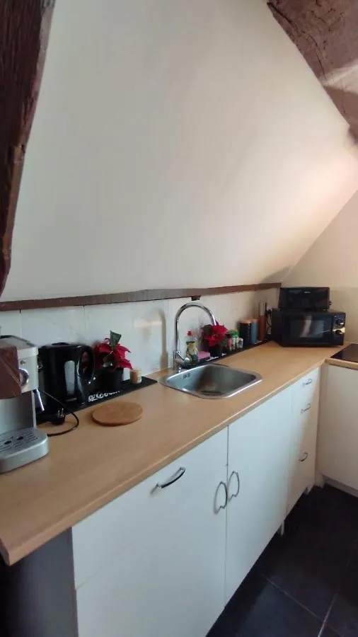 The 16Th Century Duplex In The City Center Apartment Antwerp